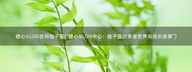糖心vvlog