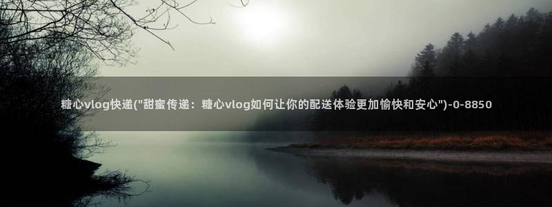 心糖vlog