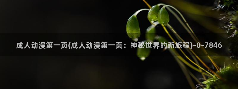 动漫国