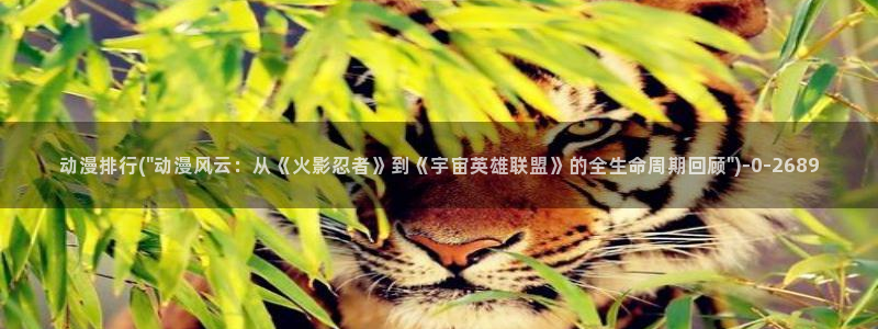 BL动漫