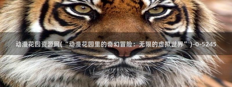 斗罗大陆2绝世唐门动漫