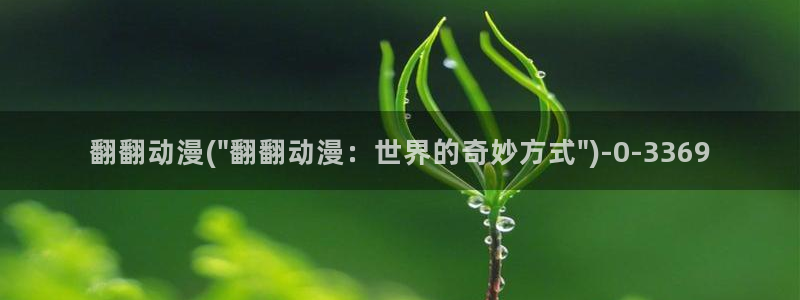 飞机杯动漫